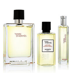 Hermès Terre D'Hermès EDT 100 ml + EDT 15 ml + SG for Body & Hair 40 ml (man)