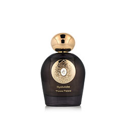 Tiziana Terenzi Hyakutake Extrait de parfum 100 ml (unisex)
