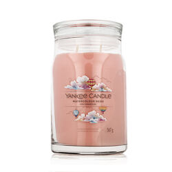 Yankee Candle Scented Candle Praline & Birch 567 g