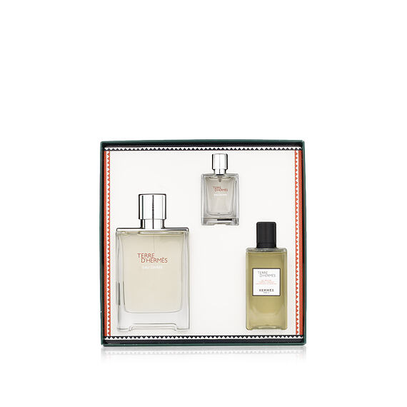 Hermès Terre D'Hermès Eau Givrée EDP Refillable 100 ml + EDP MINI 12.5 ml + SG 80 ml (man)