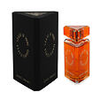 State of Mind Aesthetic Turbulence Eau De Parfum 100 ml (unisex) - Old Cover